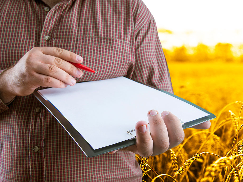 Planejamento rural. As principais etapas que podem garantir boa produtividade