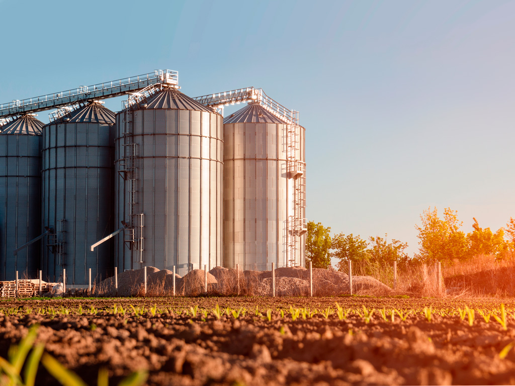 Silo: Saiba porque vale a pena ter um na propriedade