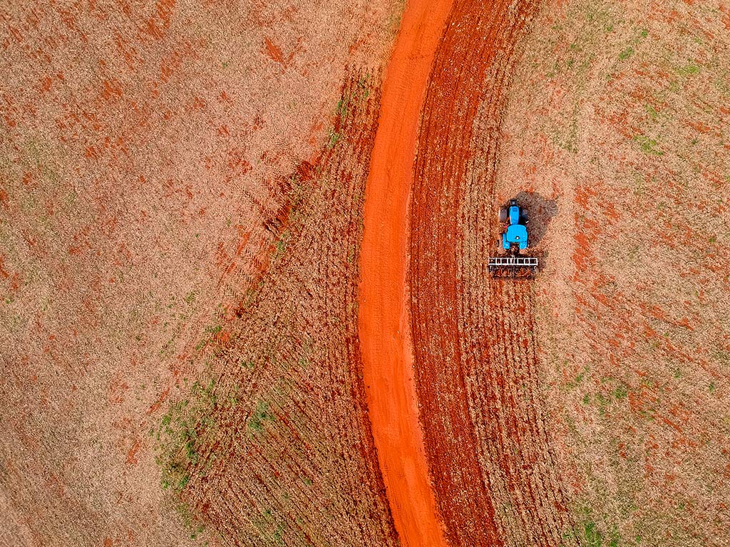 Vazio sanitário e calendarização da semeadura da soja