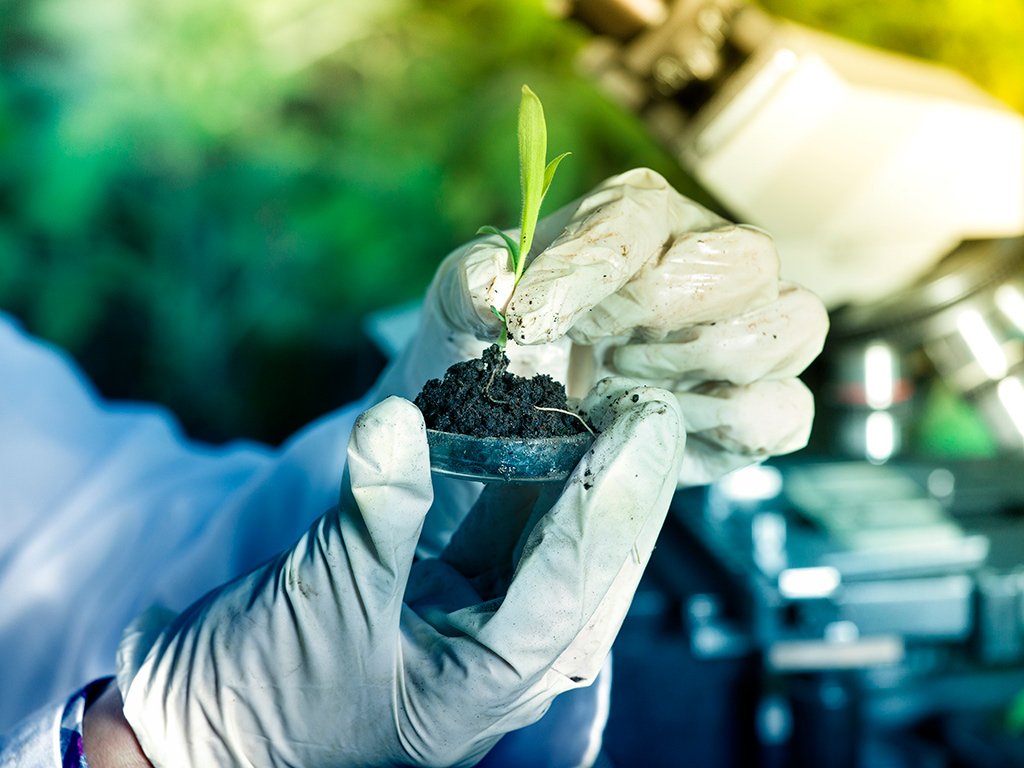 Bioinsumos: o que são e quais as vantagens para o agronegócio