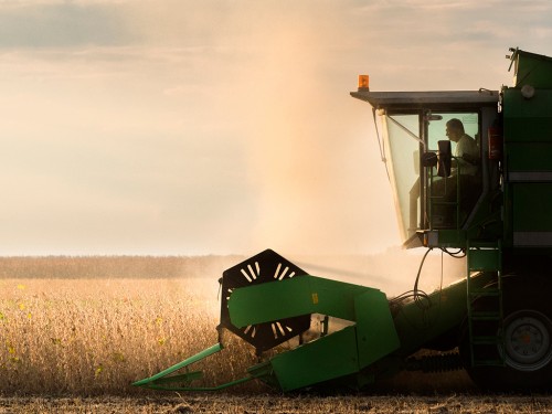 Colheita da Soja: Passo a passo para a melhor produtividade