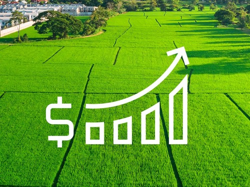 Plano Safra 2021/2022 oferece R$ 251,2 bi em crédito rural