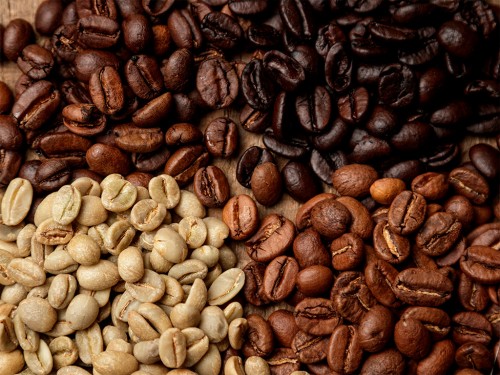 Arábica e Robusta: Tudo sobre os principais tipos de café