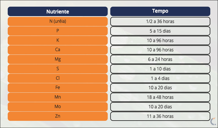 Tempo Para Absorção de 50% dos Nutrientes Aplicados nas Folhas Tempo Para Absorção de 50% dos Nutrientes Aplicados nas Folhas