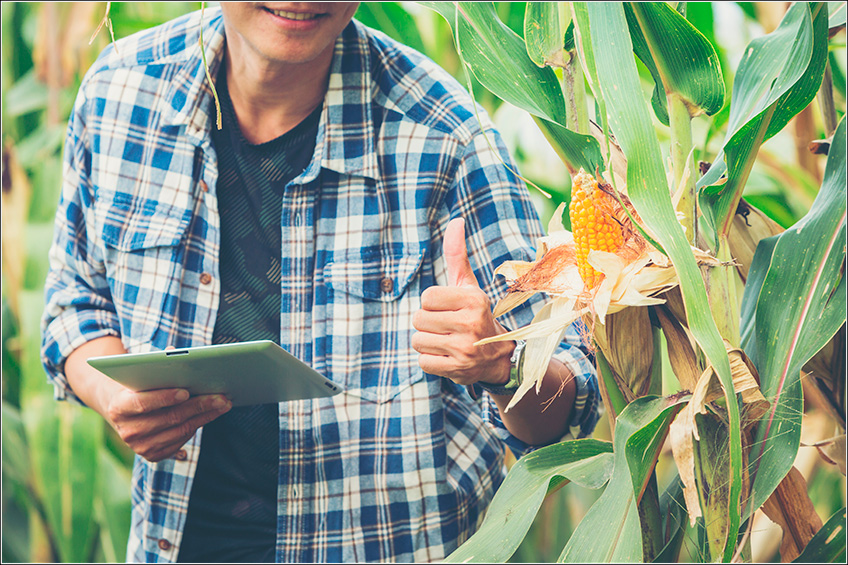 Gestão Agrícola para o Controle de Pragas Gestão Agrícola para o Controle de Pragas