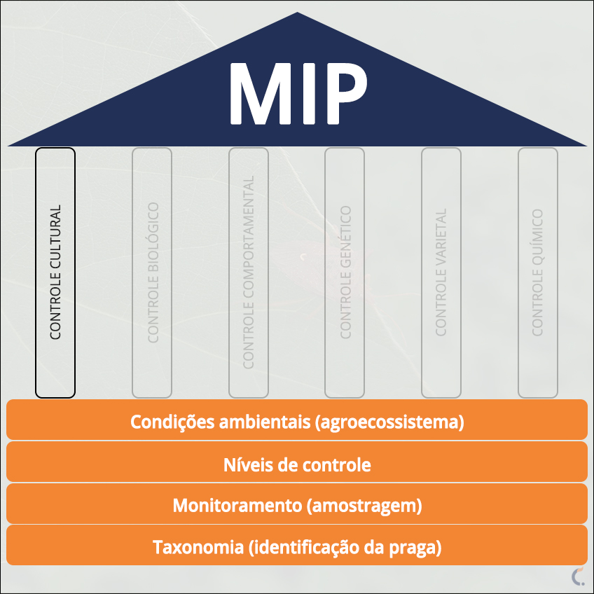 Mip Controle Cultural Mip Controle Cultural
