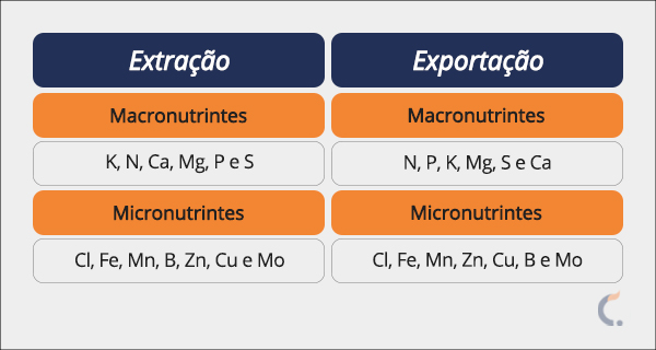 Exportação e Extração de Macronutrientes e Micronutrientes para Arroz Exportação e Extração de Macronutrientes e Micronutrientes para Arroz