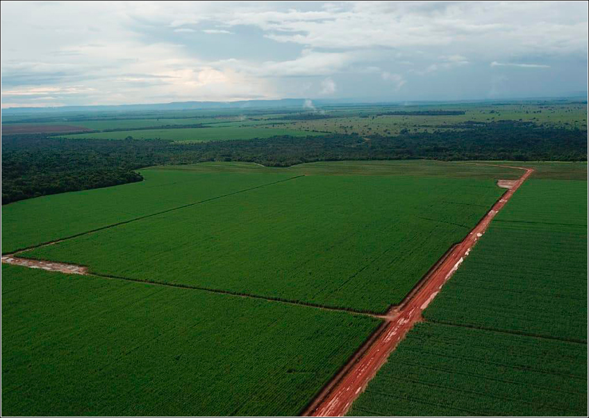 Fazenda Tupy e CHBAGRO Fazenda Tupy e CHBAGRO