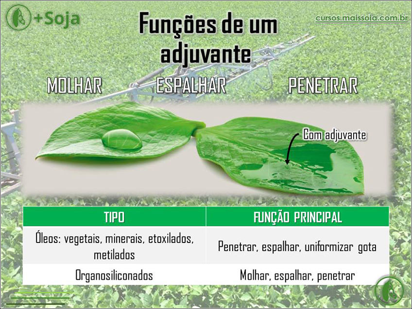 Funções de um Adjuvante