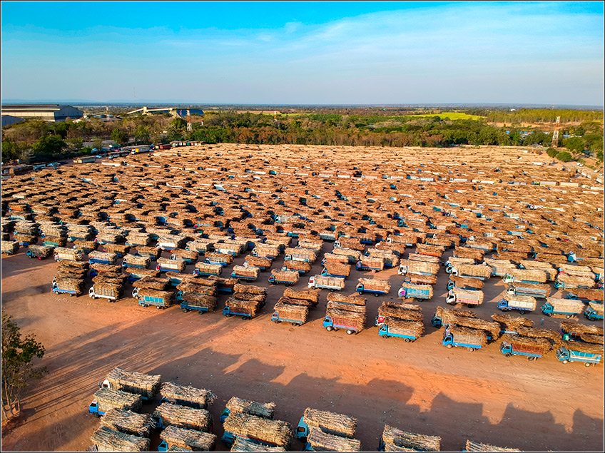 Cadeia de Suprimentos e Insumos da Fazenda