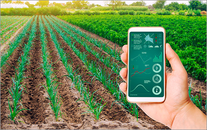 Agronegócio Brasileiro Agronegócio Brasileiro