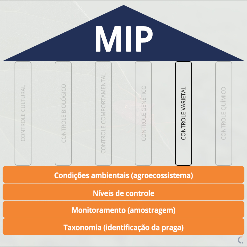 MIP Controle Varietal MIP Controle Varietal