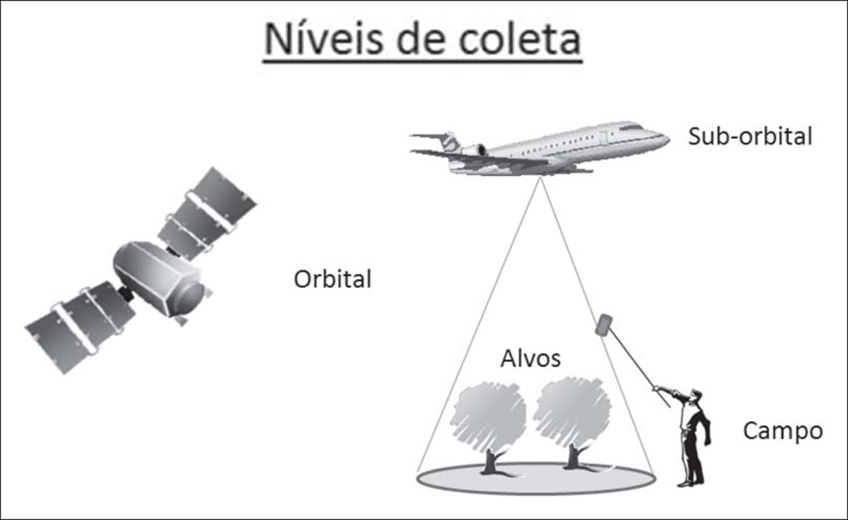 Níveis de Coleta de Dados Níveis de Coleta de Dados