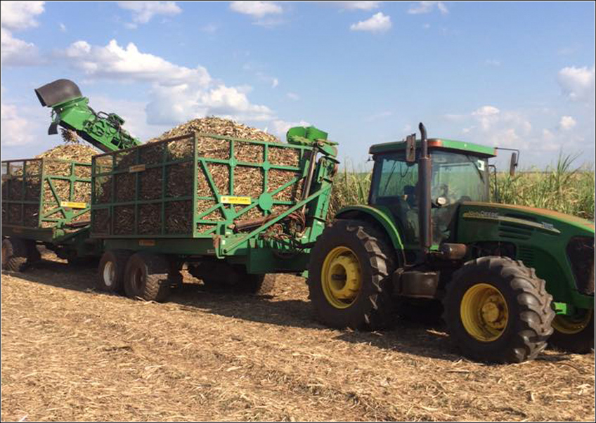 Agrícola MV e CHBAGRO Agrícola MV e CHBAGRO