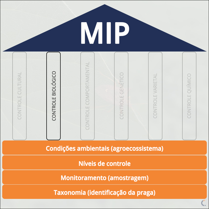 MIP Controle Biológico MIP Controle Biológico