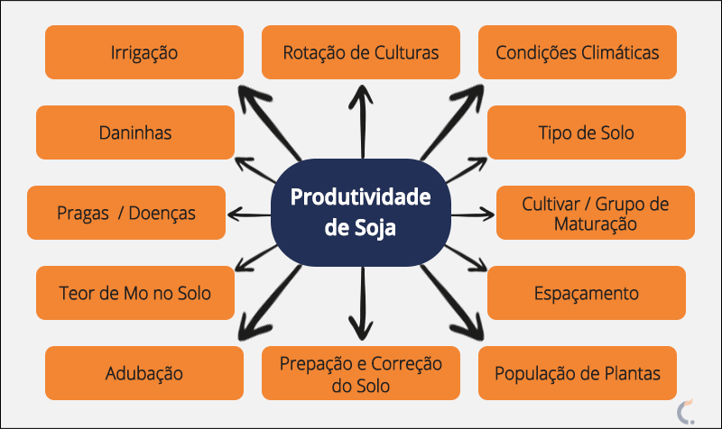 Fatores de Produtividade de Soja Fatores de Produtividade de Soja