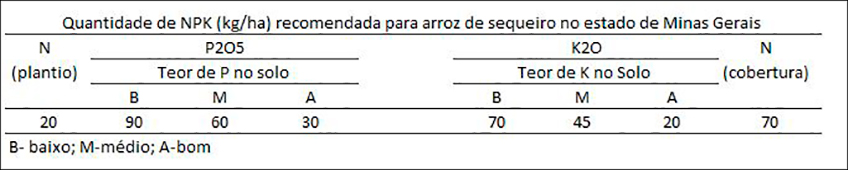 Quantidade de NPK para o Arroz Quantidade de NPK para o Arroz