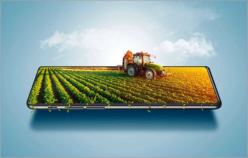 Software para Custo Agrícola